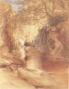 Samuel Palmer A Cascade in Shadow,Drawn on the Spot,near the Function of the Machno and Conway,North Wales oil on canvas